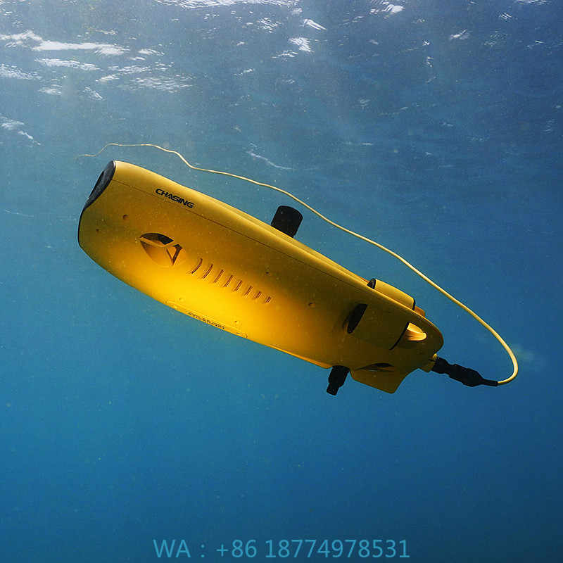 Fish Finder Battery 12V - アルヴァージュ 救助装備 水泳可能 ダイビングギア アクセサリー インテリジェント