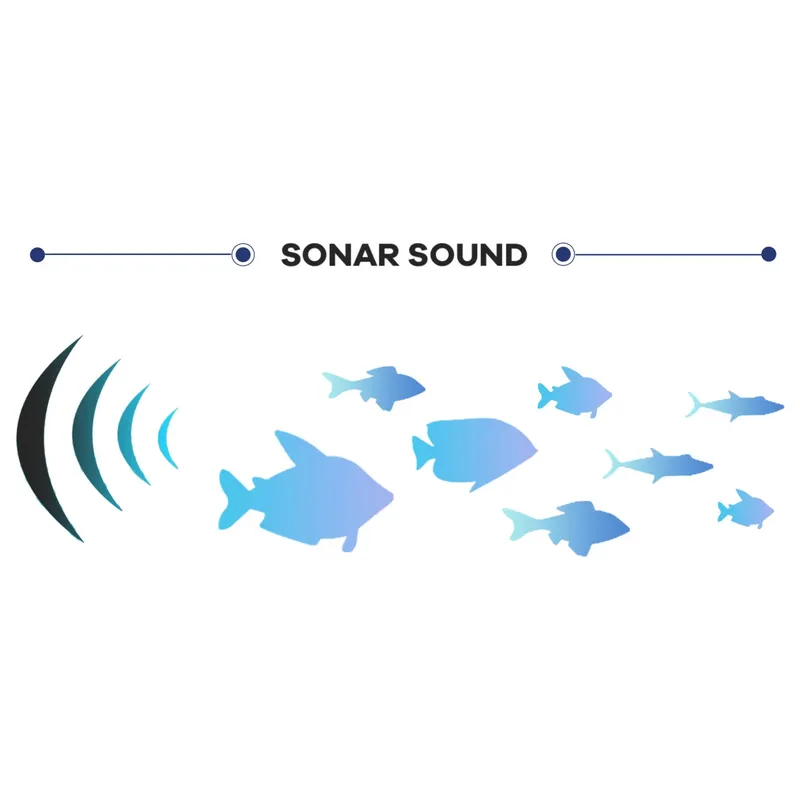 ONWA 12インチ業務用魚群探知機 1KW 2KW 高出力 - Fish Finder Transducer 200Khz のレビューと価格