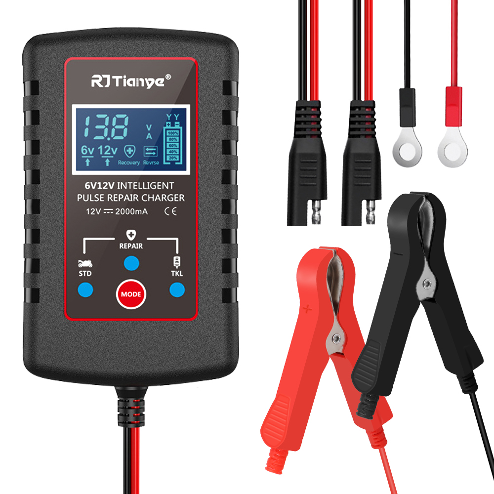 車の自動フロート充電器スマートバッテリー充電器 ASE アダ - Fish Finder Battery 12V のレビューと価格
