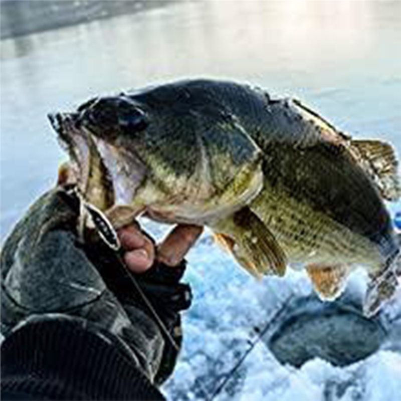 カヤックポータブル魚群探知機 水中ハンドヘルド魚群探知機 ソ - Fish Finder Kayak Portable のレビューと価格